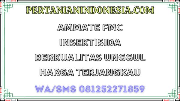 Ammate FMC Insektisida Berkualitas Unggul Harga Terjangkau